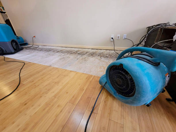 Professional Sewage Cleanup technician working in Marengo, IL